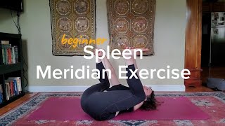 Beginner Spleen Meridian Exercise  Infinity Flexibility Integrative Bodywork [upl. by Eeslehc]