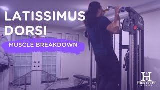 Latissimus Dorsi  Muscle Breakdown Series [upl. by Bradman]