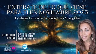 quotNavegando la Energía del CERDO DE AGUA Tu Guía para Noviembre 2023 quot fengshui astrologíachina [upl. by Isiahi]