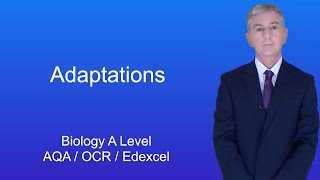 A Level Biology Revision quotAdaptationsquot [upl. by Aeslahc]