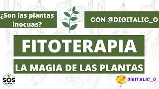 🌿Fitoterapia la magia de las plantas🌿 Con Digitalico [upl. by Ayikahs]