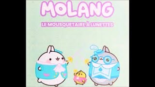 Molang Le mousquetaire à lunettes lecture histoire pour calmer les enfants avec bruitage musique [upl. by Ardnuaek459]