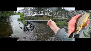 Small Stream Fly Fishing with a Euro Nymphing Dry Dropper [upl. by Iasi952]