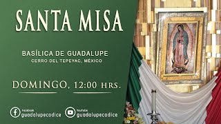 Santa Misa Basílica de Guadalupe Domingo 11 FEBRERO 2024 1200 hrs [upl. by Ellerad541]