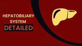 Hepatobiliary system  liver histology  anatomical and functional lobule  blood bile flow [upl. by Syxela123]