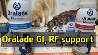 강아지 췌장염과 고양이 신부전 대용식 l Oralade GI RF support [upl. by Ainadi]