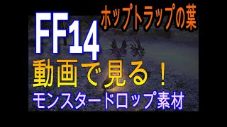 FFX14【漆黒のヴィランズ】素材ドロップモンスターレイクランド【ホップトラップの葉】ホップトラップ [upl. by Silvia]