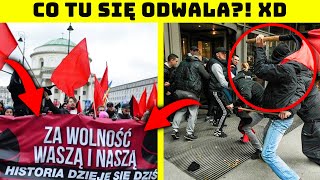 CZY MŁODE KOMUCHY NIE MAJĄ MÓZGU  NAGRANIE [upl. by Selway54]