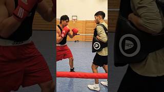 bodybox training shortsyoutube sports boxing [upl. by Colon]