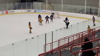 Live streaming of Mankato Peewee A 2024 [upl. by Rosenkranz]