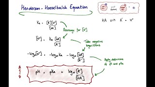 The HendersonHasselbalch Equation and pKa [upl. by Ettennod]