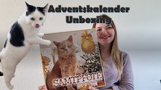 Wir testen einen Katzen Adventskalender  Lohnt sich das [upl. by Itagaki292]