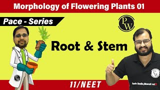 Morphology of Flowering Plants 01  Root and Stem  Class 11  Pace Series  NEET [upl. by Rozanne]