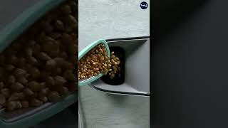 Healthy Popcorn in Minutes [upl. by Gnov]