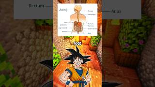 Learn with Goku Human Digestion [upl. by Lanuk]