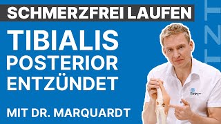 Sehnenscheidenentzündung am Tibialis Posterior  Schmerzfrei laufen mit Dr Marquardt  ARTZT [upl. by Farand]