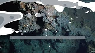 Microbes and metabolism on the MidAtlantic Ridge The Deyin1 hydrothermal field [upl. by Dorrahs]