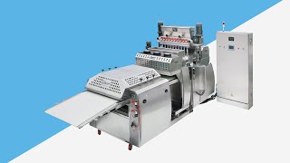 MultiHead Encrusting amp CoExtruding Machine  Model OM10N [upl. by Enaed]