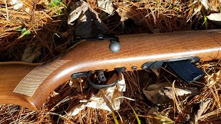 Savage MKII G 22lr BoltAction Rifle With AccuTrigger Best Budget BoltAction 22  REVIEW [upl. by Anoy]