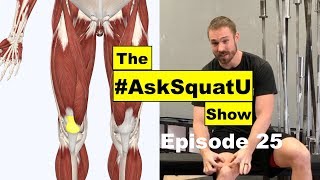 How to Fix Quad amp Patellar Tendon Pain AskSquatU Show Ep 25 [upl. by Whitehurst845]