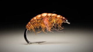 Rusty Scud gammarus [upl. by Nhar]