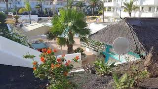 Fuentepark apartments Corralejo External areas and pool [upl. by Anyalram]