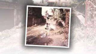 ormoc flash flood 1991avi [upl. by Malvin]