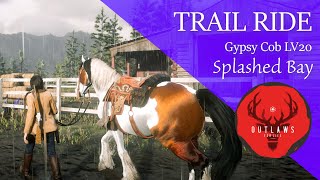 RDR2 Horse Trail  Gypsy Cob Splashed Bay  Celtic Music  IRL Horse at end [upl. by Inilahs]