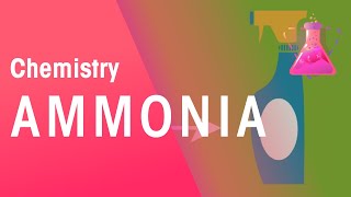 The Haber Process  the Uses of Ammonia  Reactions  Chemistry  FuseSchool [upl. by Adniram312]