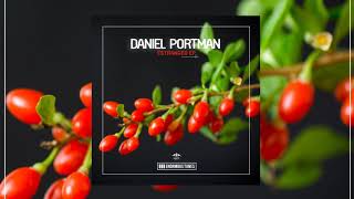 Daniel Portman  Inappropriate Melodies [upl. by Trumaine]