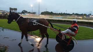 Trotting Races at Alexandra Park Raceway in Auckland [upl. by Cressi114]