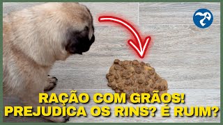 ABSOLUTAMENTE Tudo Sobre a Ração farmina NampD ancestral grain Frango e Romã Mini Cães Filhotes [upl. by Egreog]