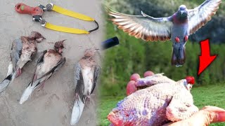 How to make birds meat  how to clean pigeon or birds [upl. by Tipton]