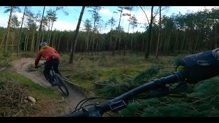 KWINTELOOIJEN RHENEN I 27K I MOOI TOERENFOLLOWCAM OP DE EHARDTAIL I TIJD NIET GEWEEST OP UHR [upl. by Loveridge]