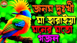 জনম দুঃখী মায়ের দুঃখের গজল। Mayer dukher gojol  Bangla gojol [upl. by Aineval]