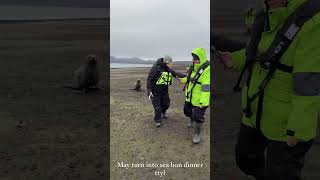 Big Fight with Sea lion 🦭 in Antarctica 🇦🇶 [upl. by Allard990]