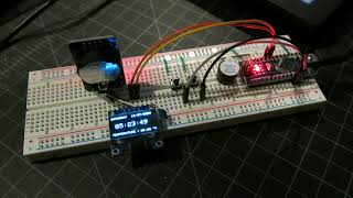 Arduino Nano with DS3231 Clock Module and SSD1306 OLED [upl. by Mcquillin]