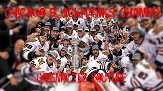 Chicago Blackhawks 2013 Stanley Cup Champions Starvation [upl. by Enajiram]