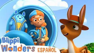 Canguro  Blippi Wonders  Caricaturas para niños [upl. by Alag]