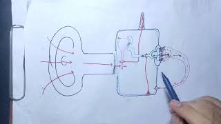 guyton chapter 53 last partcentrifugal signalstypes of deafnessaudiometerspecialsensesphysiology [upl. by Ettenaj]