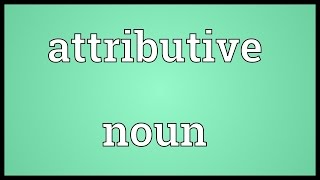 Attributive noun Meaning [upl. by Menides]