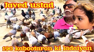 Javed ustad  190 kabootaron ki ladaiyan  Gola kabutar k video  ghagre Kutch pare Gola kabutar [upl. by Aicinod307]