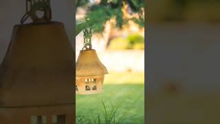 Homes For Feathered FriendsChoosing The Right Birdhouse [upl. by Haily]