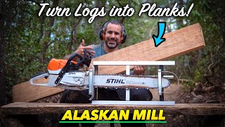 Using an Alaskan Mill to turn dead trees into wood you can use [upl. by Tarttan]