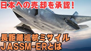 日本への売却が承認された長距離巡航ミサイルJASSMERとは？輸送機にも搭載可能！？ [upl. by Ellesor875]