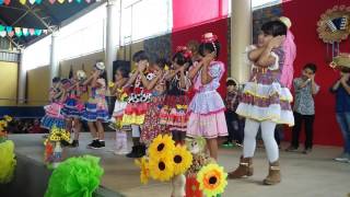 Festa junina Danielvida de viajante [upl. by Iccir808]