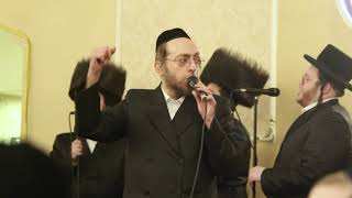 Arale Samet amp Meir Adler At A Rebbishe Wedding [upl. by Acey10]