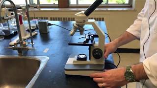 Utilisation du microscope en 1re secondaire [upl. by Parhe206]