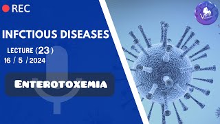 INFECTIOUS  Enterotoxemia  Dr Samar Atwa [upl. by Hoisch]