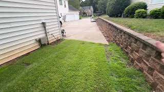 Zoysia Grass My shady backyard testing [upl. by Abernon]